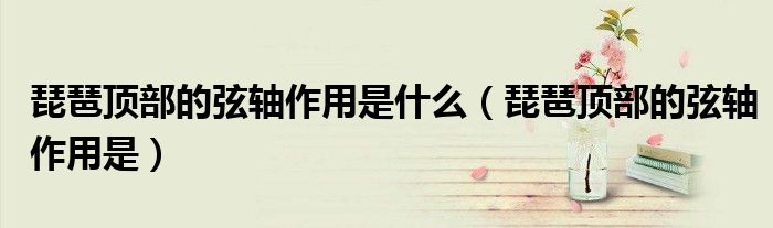 琵琶顶部的弦轴作用是什么（琵琶顶部的弦轴作用是）