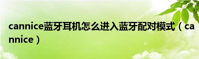 cannice蓝牙耳机怎么进入蓝牙配对模式（cannice）
