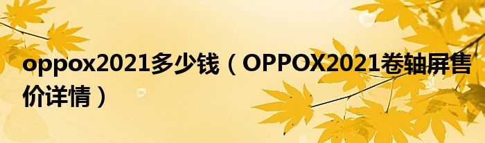 oppox2021多少钱（OPPOX2021卷轴屏售价详情）