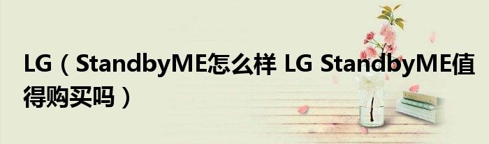 LG（StandbyME怎么样 LG StandbyME值得购买吗）