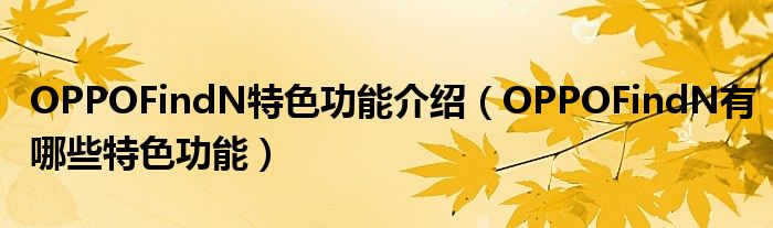 OPPOFindN特色功能介绍（OPPOFindN有哪些特色功能）