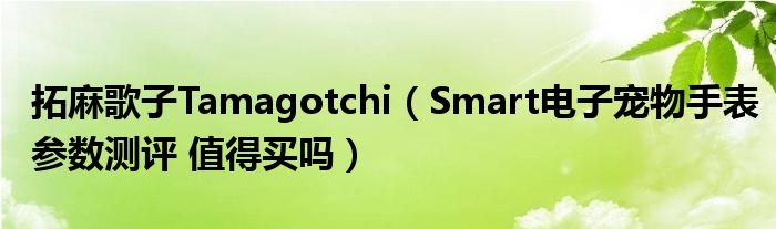 拓麻歌子Tamagotchi（Smart电子宠物手表参数测评 值得买吗）