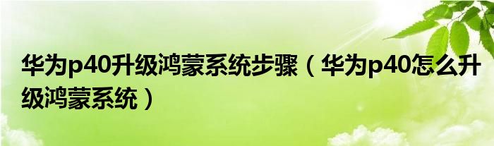 华为p40升级鸿蒙系统步骤（华为p40怎么升级鸿蒙系统）