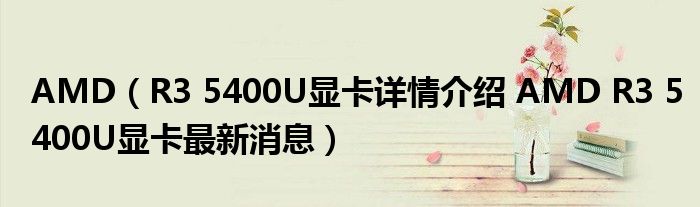 AMD（R3 5400U显卡详情介绍 AMD R3 5400U显卡最新消息）