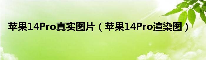 苹果14Pro真实图片（苹果14Pro渲染图）