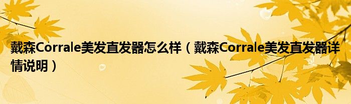 戴森Corrale美发直发器怎么样（戴森Corrale美发直发器详情说明）