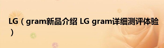 LG（gram新品介绍 LG gram详细测评体验）