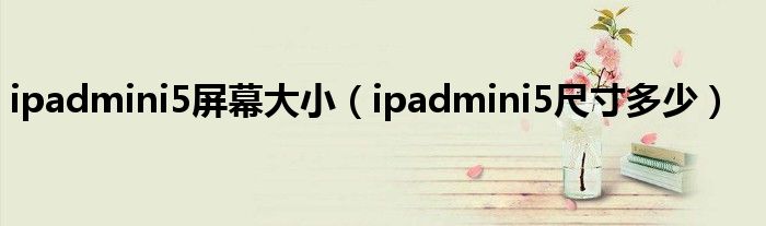 ipadmini5屏幕大小（ipadmini5尺寸多少）