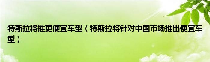特斯拉将推更便宜车型（特斯拉将针对中国市场推出便宜车型）
