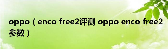 oppo（enco free2评测 oppo enco free2参数）