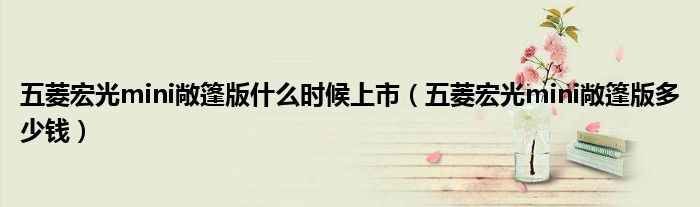 五菱宏光mini敞篷版什么时候上市（五菱宏光mini敞篷版多少钱）
