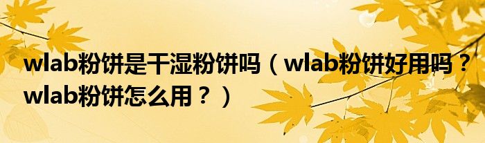 wlab粉饼是干湿粉饼吗（wlab粉饼好用吗？wlab粉饼怎么用？）