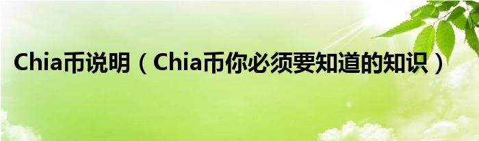 Chia币说明（Chia币你必须要知道的知识）