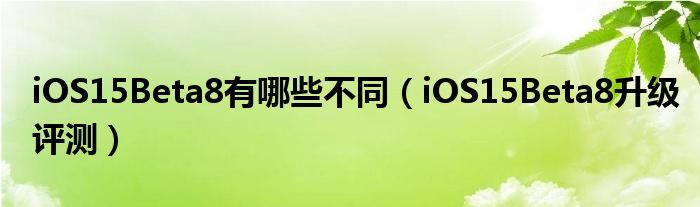 iOS15Beta8有哪些不同（iOS15Beta8升级评测）