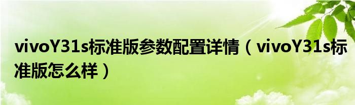 vivoY31s标准版参数配置详情（vivoY31s标准版怎么样）
