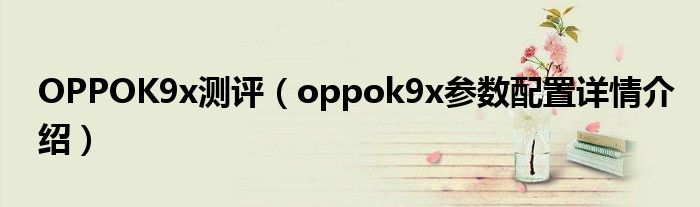 OPPOK9x测评（oppok9x参数配置详情介绍）