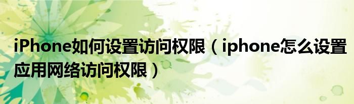 iPhone如何设置访问权限（iphone怎么设置应用网络访问权限）
