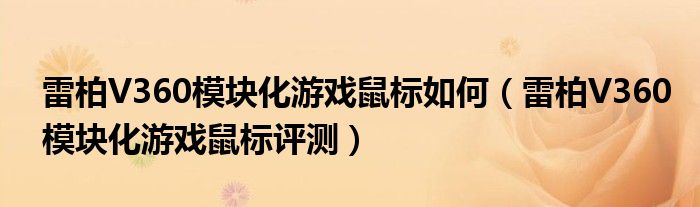 雷柏V360模块化游戏鼠标如何（雷柏V360模块化游戏鼠标评测）