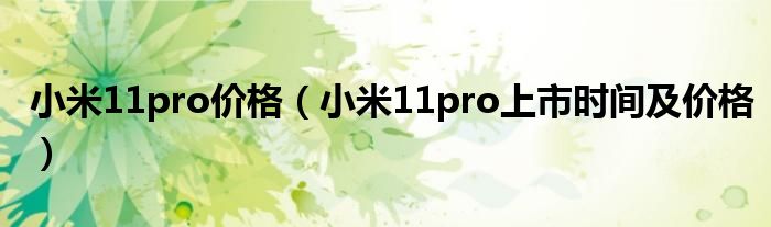 小米11pro价格（小米11pro上市时间及价格）