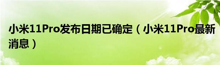 小米11Pro发布日期已确定（小米11Pro最新消息）
