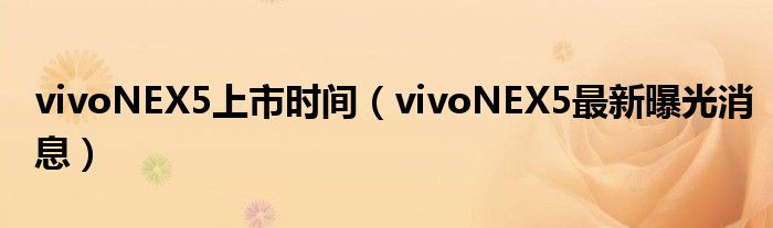 vivoNEX5上市时间（vivoNEX5最新曝光消息）