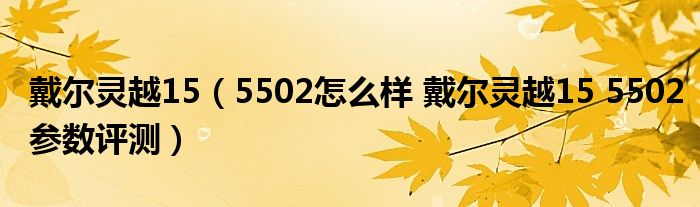 戴尔灵越15（5502怎么样 戴尔灵越15 5502参数评测）