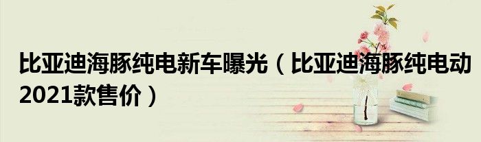 比亚迪海豚纯电新车曝光（比亚迪海豚纯电动2021款售价）