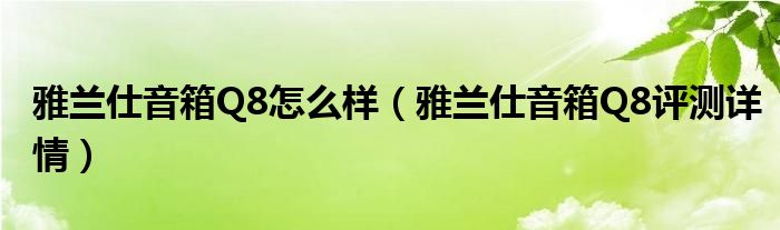 雅兰仕音箱Q8怎么样（雅兰仕音箱Q8评测详情）