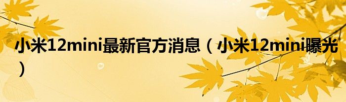 小米12mini最新官方消息（小米12mini曝光）