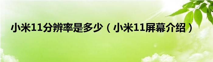 小米11分辨率是多少（小米11屏幕介绍）