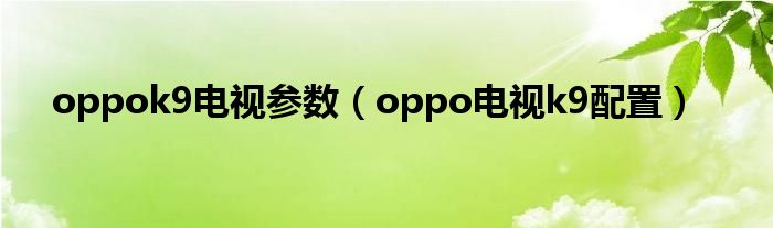 oppok9电视参数（oppo电视k9配置）