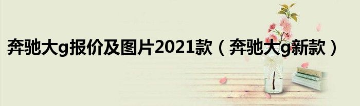 奔驰大g报价及图片2021款（奔驰大g新款）