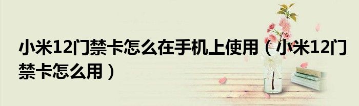 小米12门禁卡怎么在手机上使用（小米12门禁卡怎么用）
