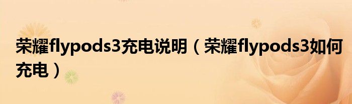 荣耀flypods3充电说明（荣耀flypods3如何充电）