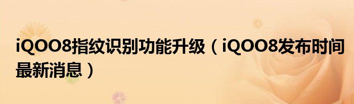 iQOO8指纹识别功能升级（iQOO8发布时间最新消息）