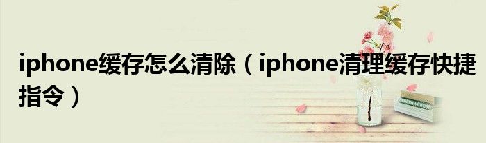 iphone缓存怎么清除（iphone清理缓存快捷指令）