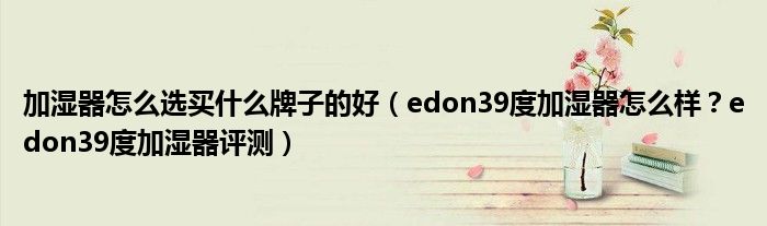 加湿器怎么选买什么牌子的好（edon39度加湿器怎么样？edon39度加湿器评测）