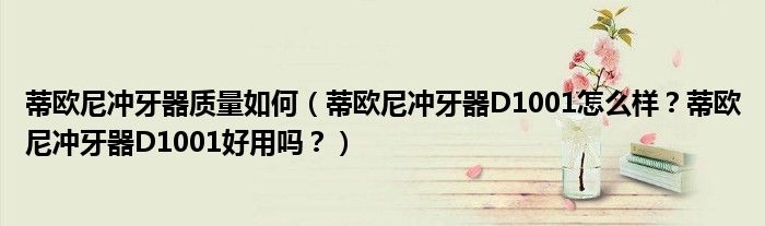 蒂欧尼冲牙器质量如何（蒂欧尼冲牙器D1001怎么样？蒂欧尼冲牙器D1001好用吗？）