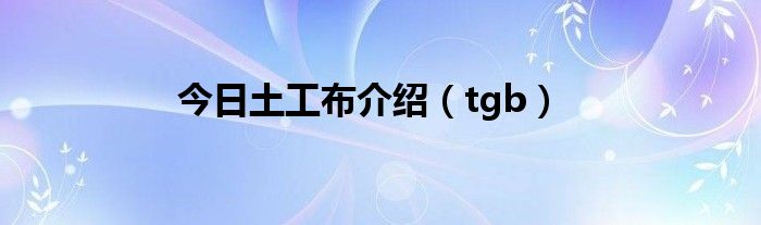 今日土工布介绍（tgb）