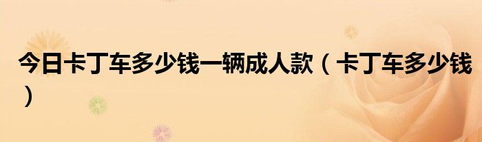 今日卡丁车多少钱一辆成人款（卡丁车多少钱）