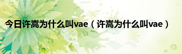 今日许嵩为什么叫vae（许嵩为什么叫vae）