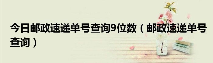 今日邮政速递单号查询9位数（邮政速递单号查询）