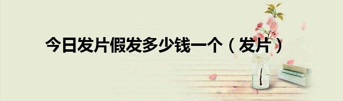 今日发片假发多少钱一个（发片）