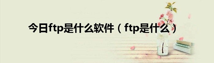 今日ftp是什么软件（ftp是什么）