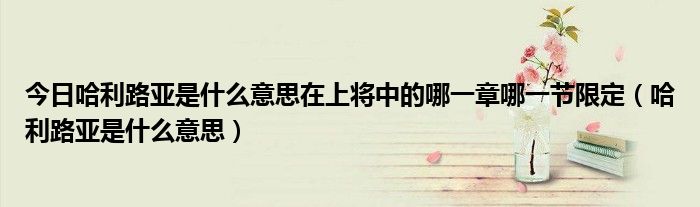 今日哈利路亚是什么意思在上将中的哪一章哪一节限定（哈利路亚是什么意思）