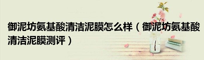 御泥坊氨基酸清洁泥膜怎么样（御泥坊氨基酸清洁泥膜测评）