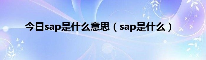 今日sap是什么意思（sap是什么）