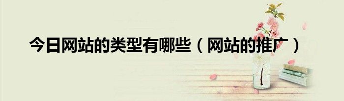 今日网站的类型有哪些（网站的推广）