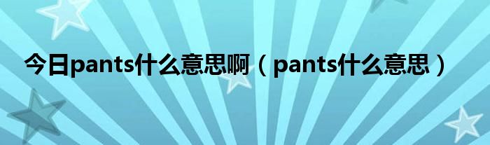 今日pants什么意思啊（pants什么意思）