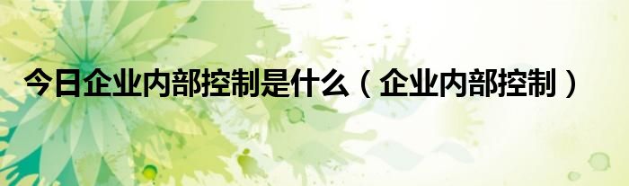 今日企业内部控制是什么（企业内部控制）